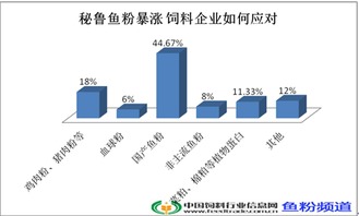 代辦昌平區勞務派遣許可證、公司增資墊資與專業勞務派遣服務全攻略